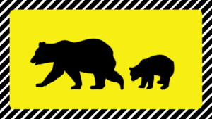 クマ目撃情報